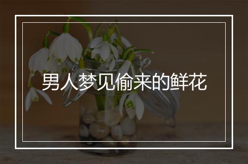 男人梦见偷来的鲜花