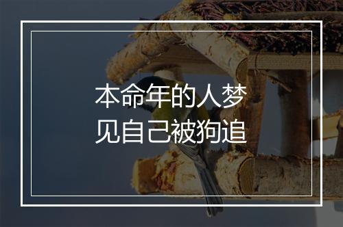 本命年的人梦见自己被狗追