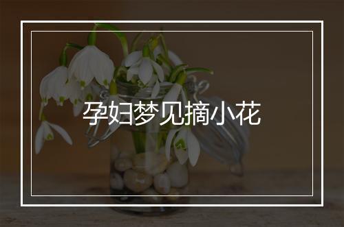 孕妇梦见摘小花