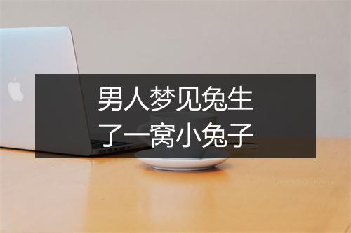 男人梦见兔生了一窝小兔子