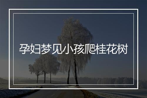 孕妇梦见小孩爬桂花树