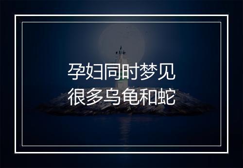 孕妇同时梦见很多乌龟和蛇