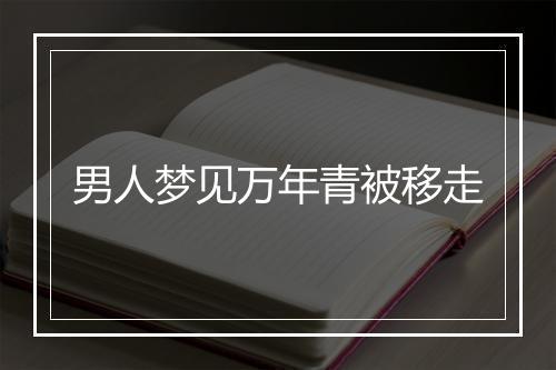 男人梦见万年青被移走