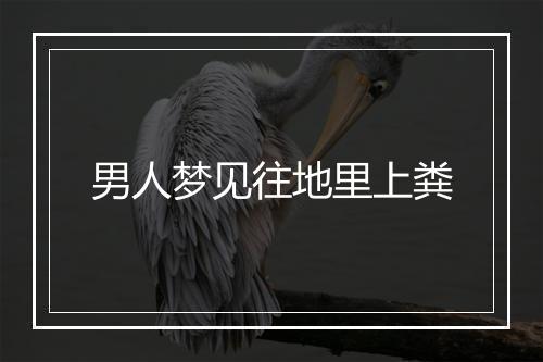 男人梦见往地里上粪