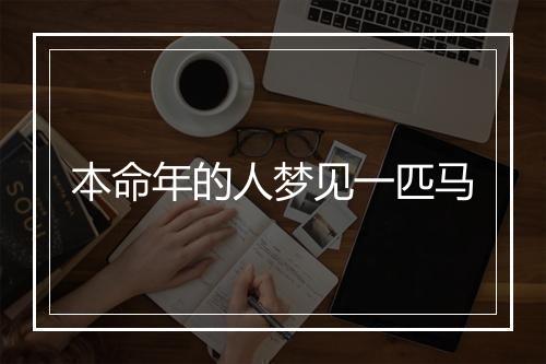 本命年的人梦见一匹马