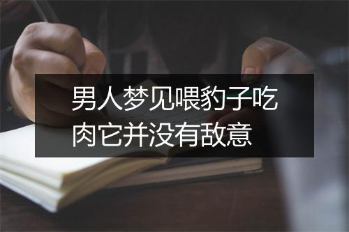 男人梦见喂豹子吃肉它并没有敌意