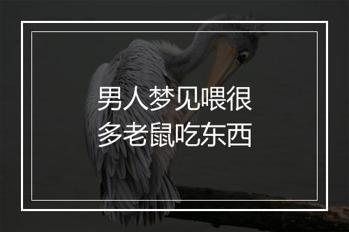 男人梦见喂很多老鼠吃东西