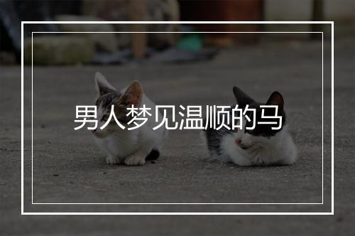 男人梦见温顺的马