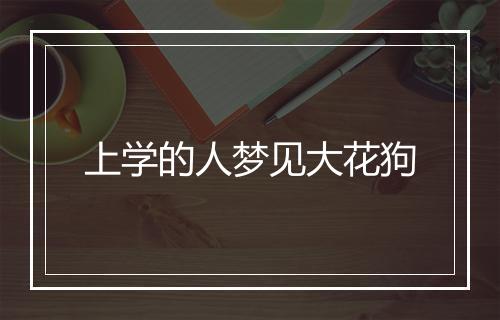 上学的人梦见大花狗