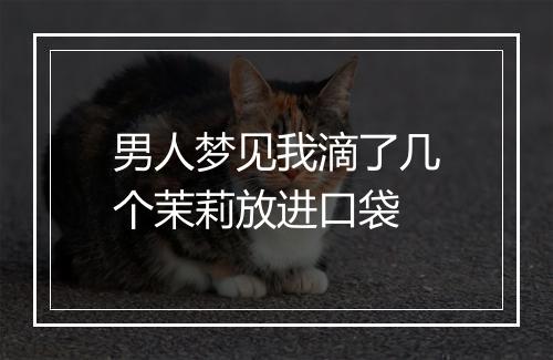 男人梦见我滴了几个茉莉放进口袋