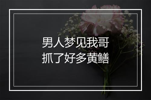 男人梦见我哥抓了好多黄鳝