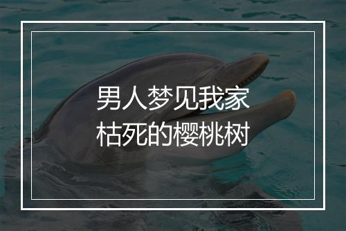 男人梦见我家枯死的樱桃树