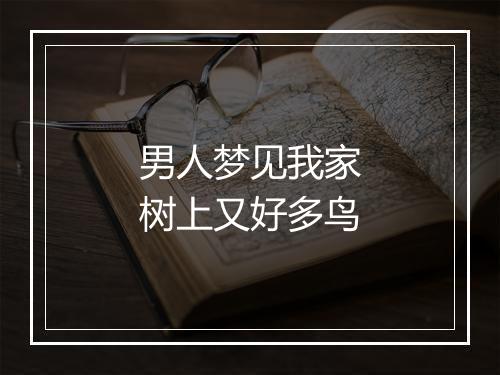 男人梦见我家树上又好多鸟