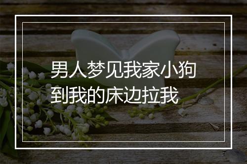 男人梦见我家小狗到我的床边拉我