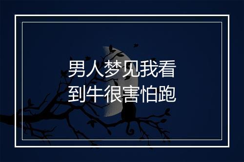 男人梦见我看到牛很害怕跑