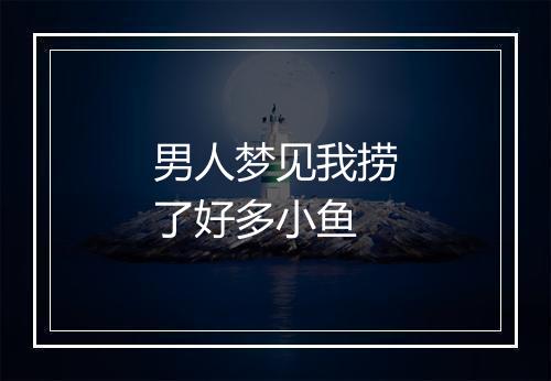 男人梦见我捞了好多小鱼