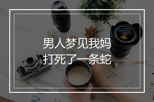 男人梦见我妈打死了一条蛇