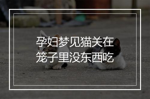 孕妇梦见猫关在笼子里没东西吃