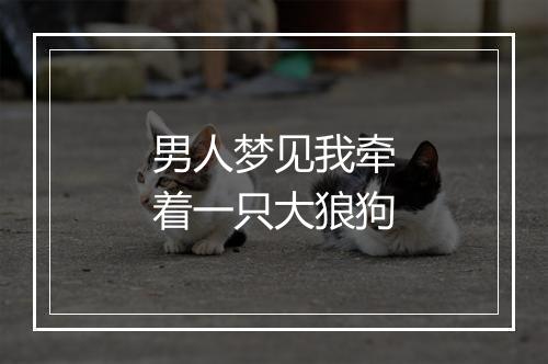 男人梦见我牵着一只大狼狗