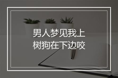 男人梦见我上树狗在下边咬