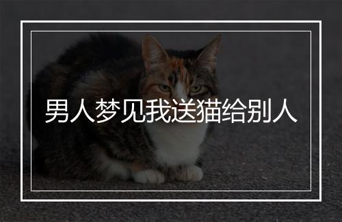 男人梦见我送猫给别人