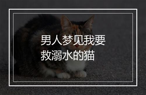 男人梦见我要救溺水的猫