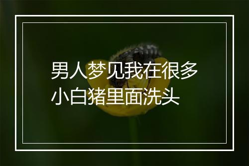 男人梦见我在很多小白猪里面洗头