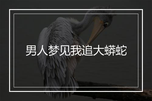 男人梦见我追大蟒蛇