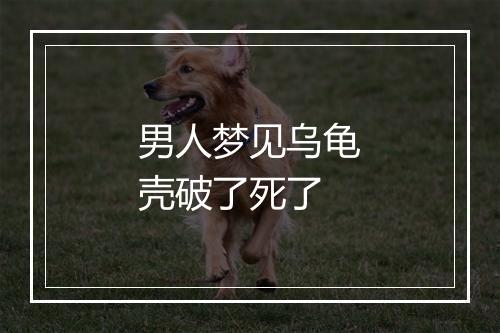 男人梦见乌龟壳破了死了