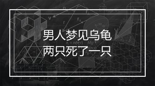 男人梦见乌龟两只死了一只