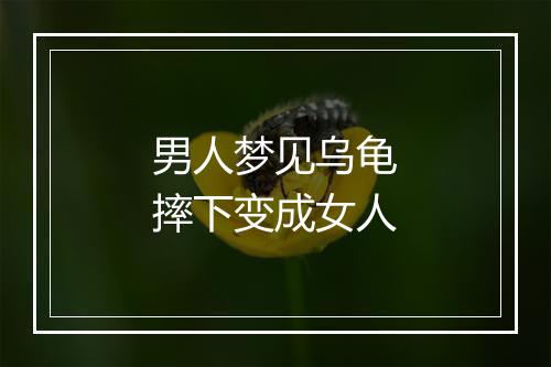 男人梦见乌龟摔下变成女人