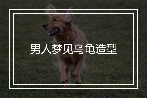 男人梦见乌龟造型