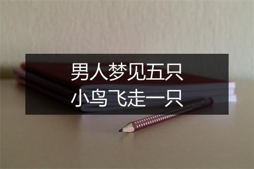 男人梦见五只小鸟飞走一只