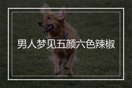 男人梦见五颜六色辣椒