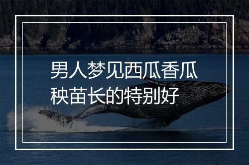 男人梦见西瓜香瓜秧苗长的特别好