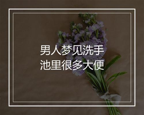 男人梦见洗手池里很多大便