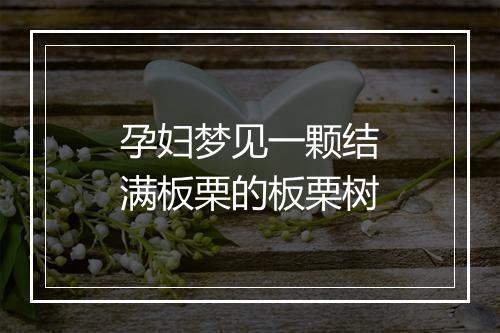 孕妇梦见一颗结满板栗的板栗树