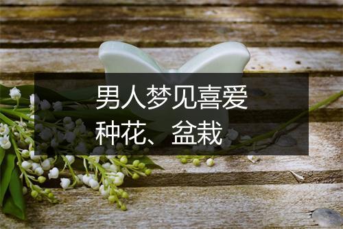 男人梦见喜爱种花、盆栽