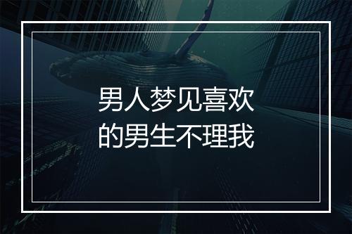 男人梦见喜欢的男生不理我