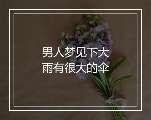 男人梦见下大雨有很大的伞