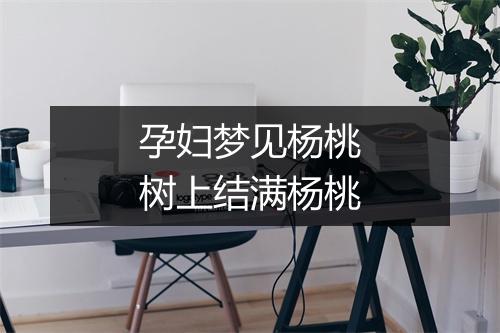 孕妇梦见杨桃树上结满杨桃