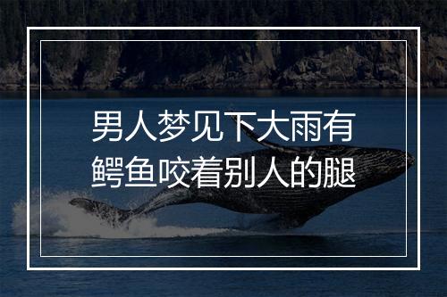 男人梦见下大雨有鳄鱼咬着别人的腿