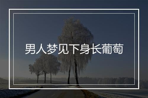 男人梦见下身长葡萄