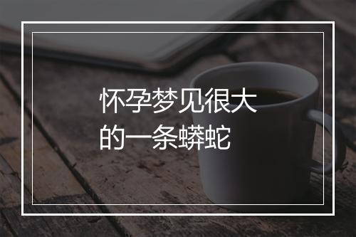 怀孕梦见很大的一条蟒蛇