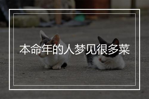 本命年的人梦见很多菜