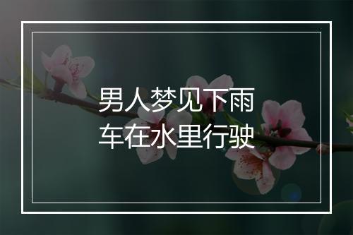 男人梦见下雨车在水里行驶