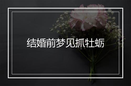 结婚前梦见抓牡蛎