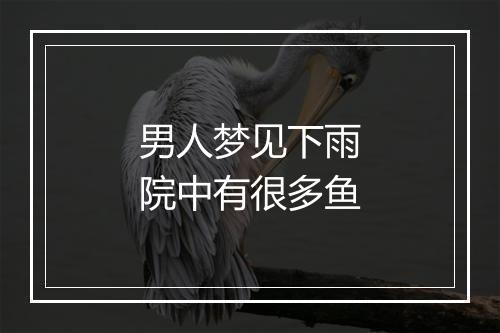 男人梦见下雨院中有很多鱼