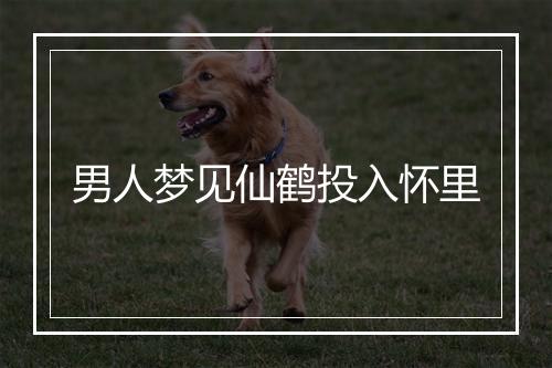 男人梦见仙鹤投入怀里