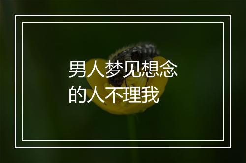 男人梦见想念的人不理我